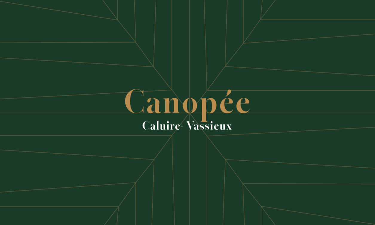 Programme immobilier CANOPÉE